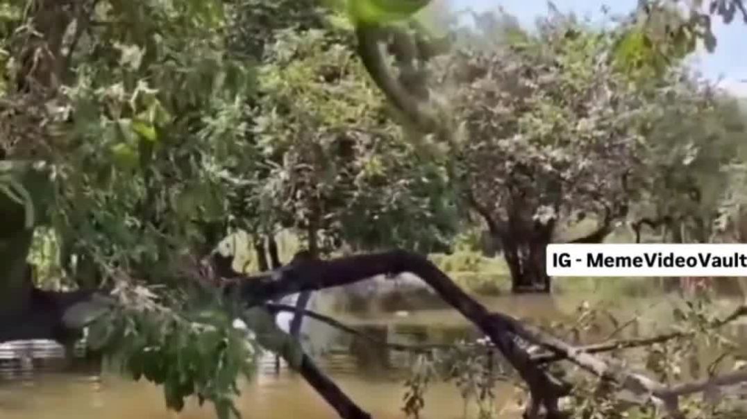 ⁣Instagram Funny Comments 🤣🤣🤣 #shorts