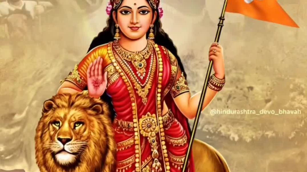 HnVideo_2025_11_12_214949549