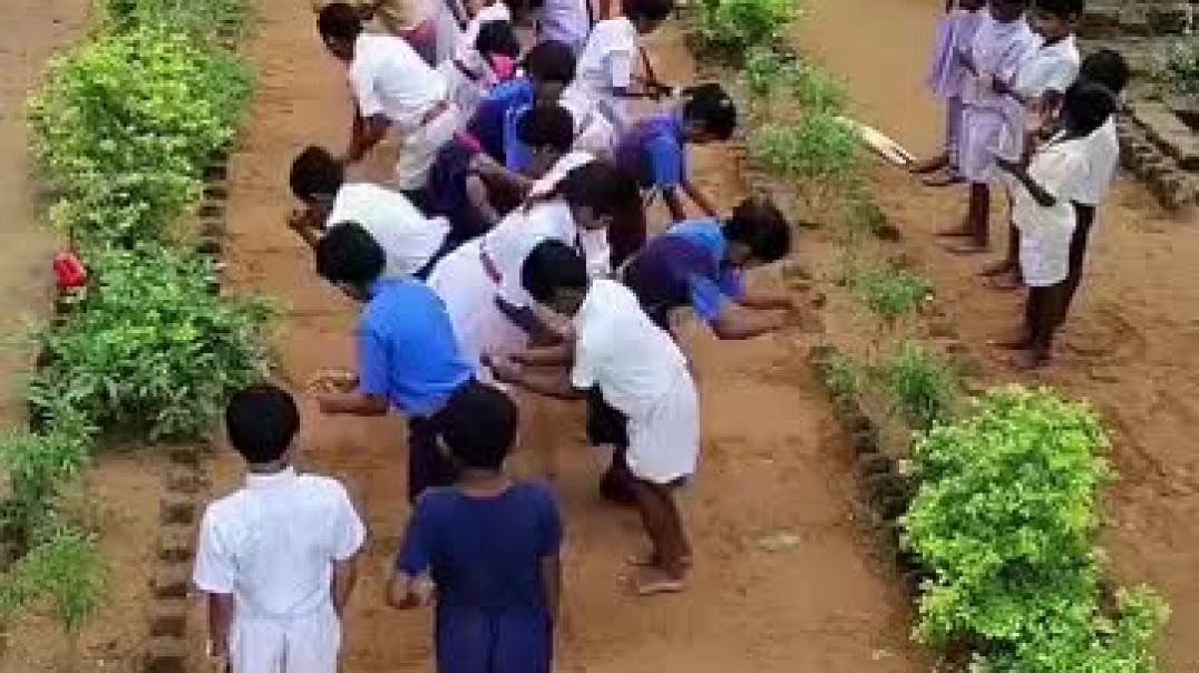 अब_जो_लौट_आया_हूं_बचपन_के_खिलौनों_के_समान_कुछ_दिन_और_ठहर_जाऊं_फिर_सुकून_मिले_न_मिले_