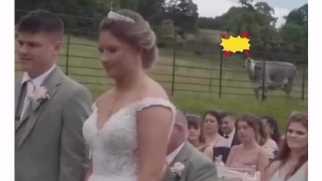 ⁣Funny video compilation