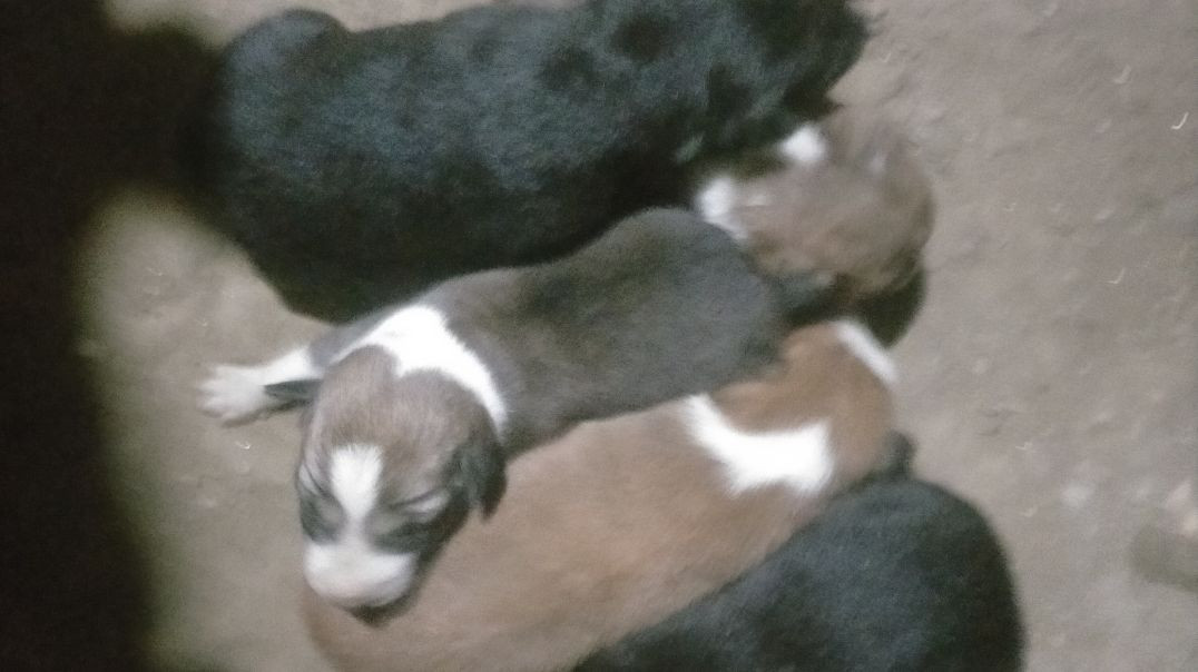 ⁣This My first vlog video please 🥺 support me