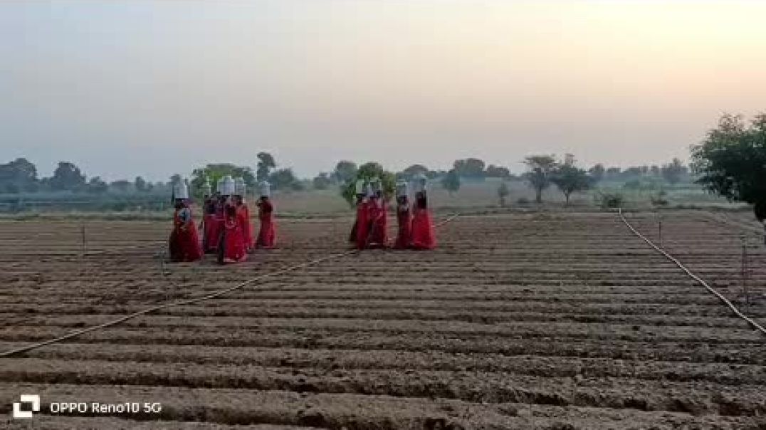 મહિલા દૂધ  #trending #viral #viralvideo #shorts