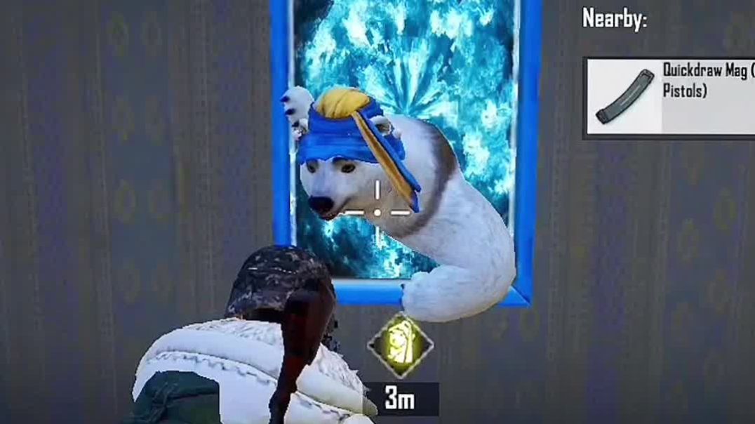 ⁣Polar bear funny Best update bgmi & pubg