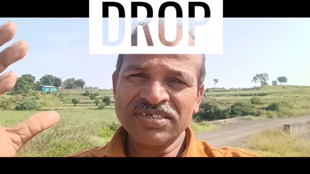 Travel with Bajaj Maxima Cargo tempo