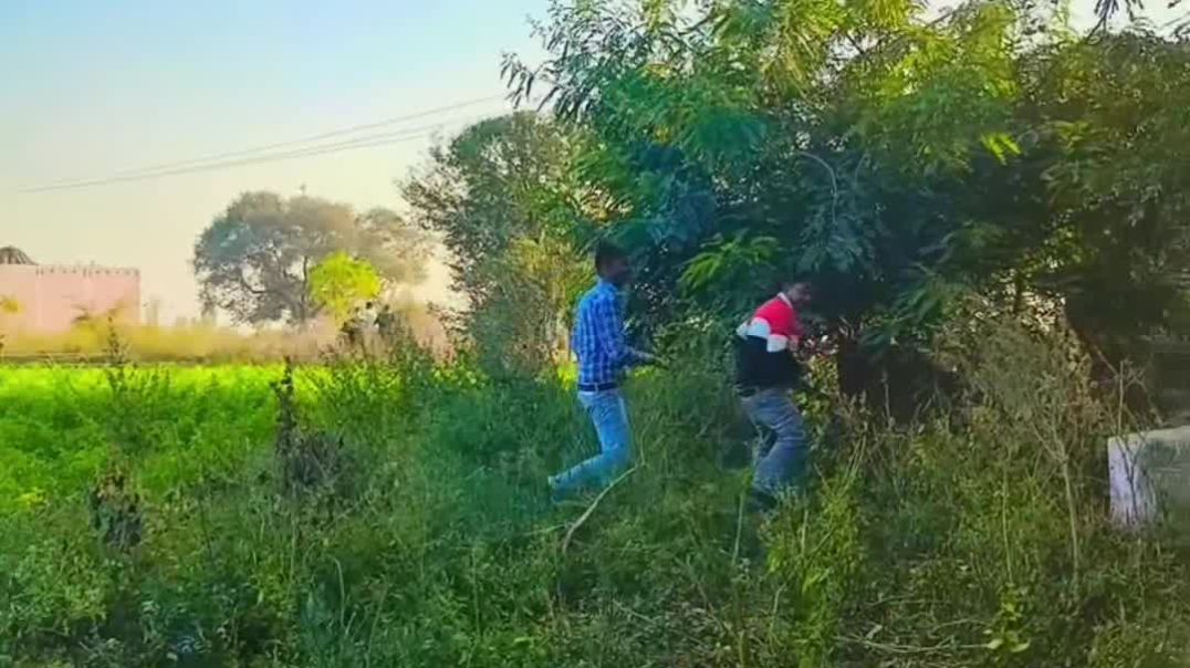 VID_20251128_024238_221