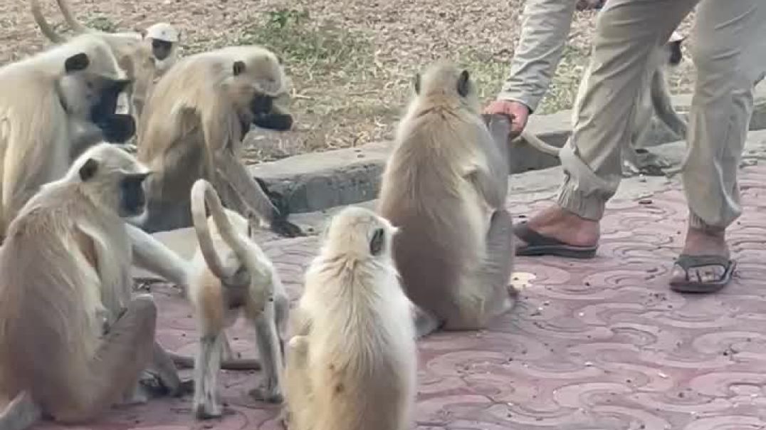 ⁣b041354de923496485ba85da95175b3d