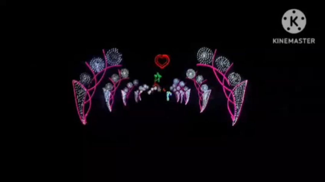 VID_20250317_084733_767