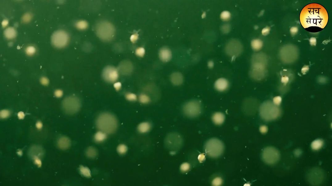 ⁣पृथ्वी पर जीवन कहां से आया_ Origins of Life on Earth_ Early Life on Earth _L_Full-HD