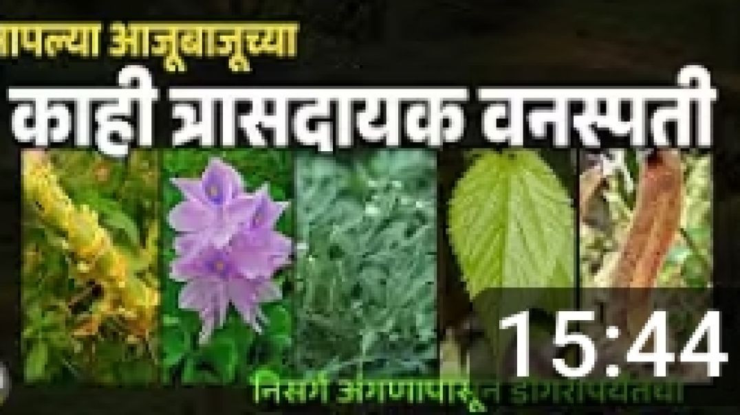 आपल्या आजूबाजूच्या काही त्रासदायक वन