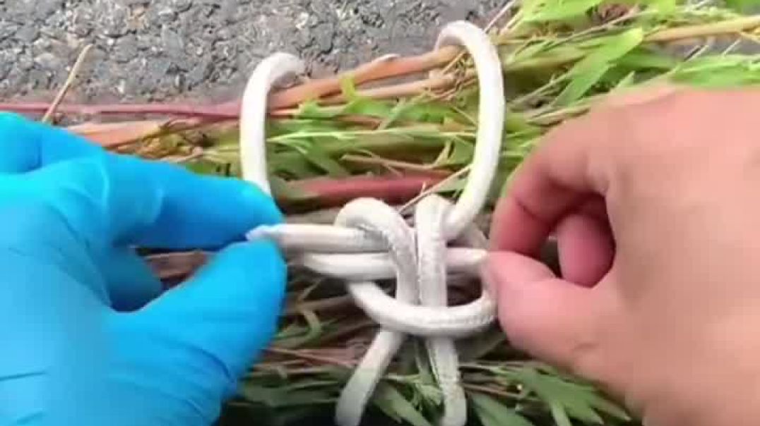 ⁣प्राचीन काल की 12 खास गांठे 😱___foryou _trending _instagram _reels _shorts _india _viral _viralvideo