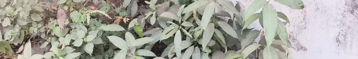 Latif Mohammad Qureshi