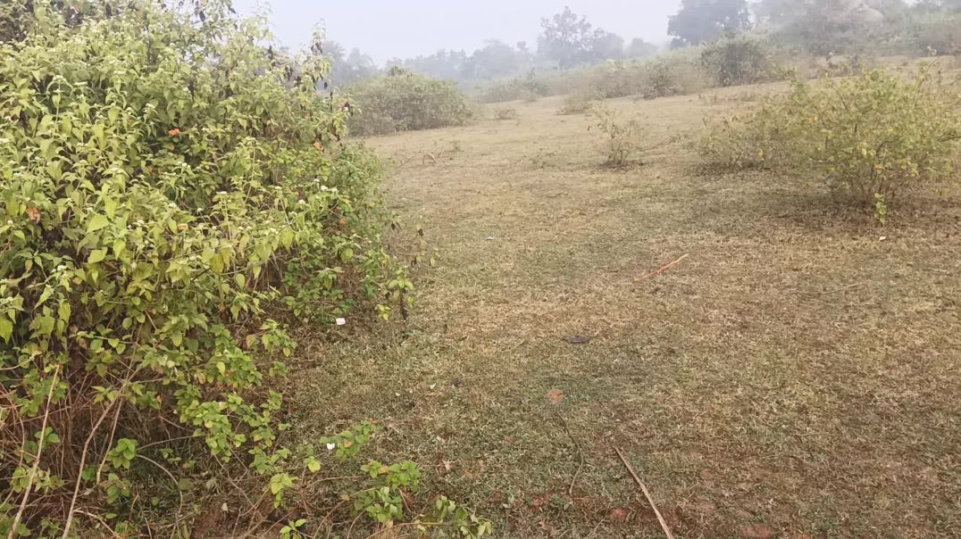 ⁣Creator देखा देखी करने से channel जल्दी monetize 2025