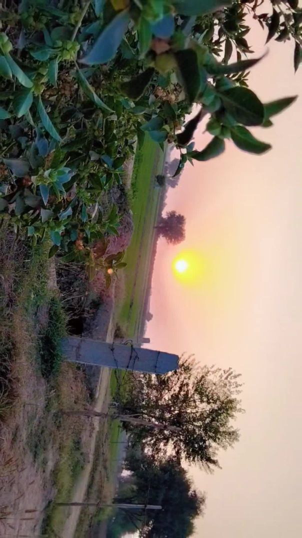 Sham va kheta ki re balu reta ki 🥰🥰 #farmingvideo #trending #desi #sunset