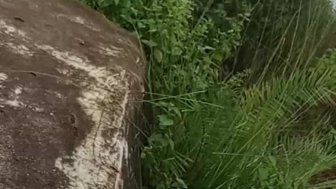 ⁣Vlog video trending short #vlog