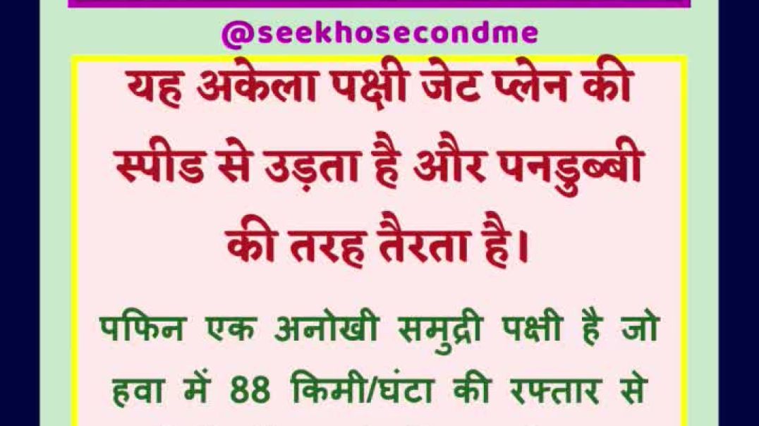 ⁣एक ऐसा पक्षी जो जहाज के जैसे उड़ता है और पनडुब्बी जैसे तैरता है