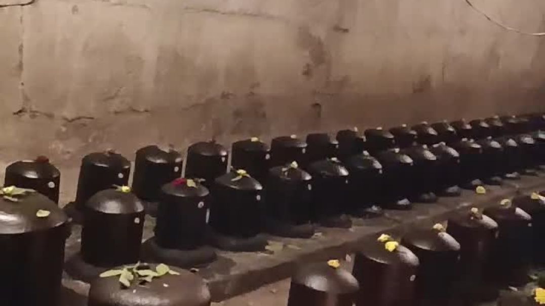 Shiv lahri #trending #topvideos #favoritedvideos #viral