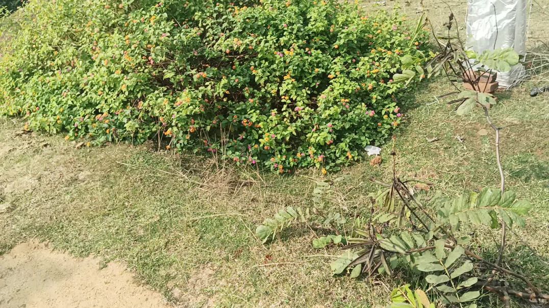 ⁣Atoplay views कम आ रहे है 2025