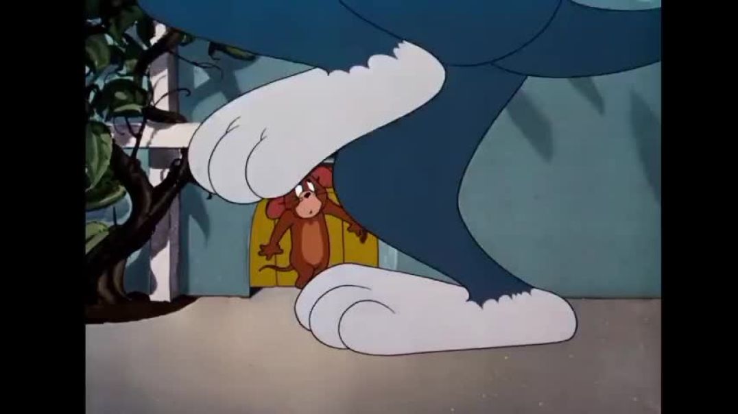 ⁣Tom y Jerry Cartoon Video