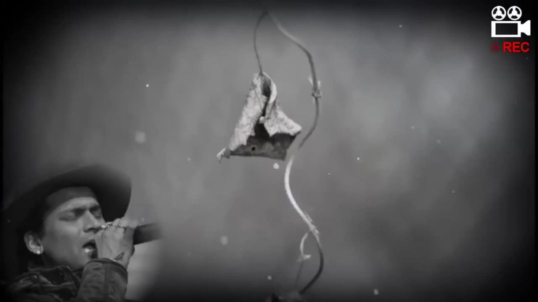 ⁣Bhulotu Nasaba Tumi_ভুলতো নাচাবা তুমি_Lyrics - Zubeen Garg(720P_HD)