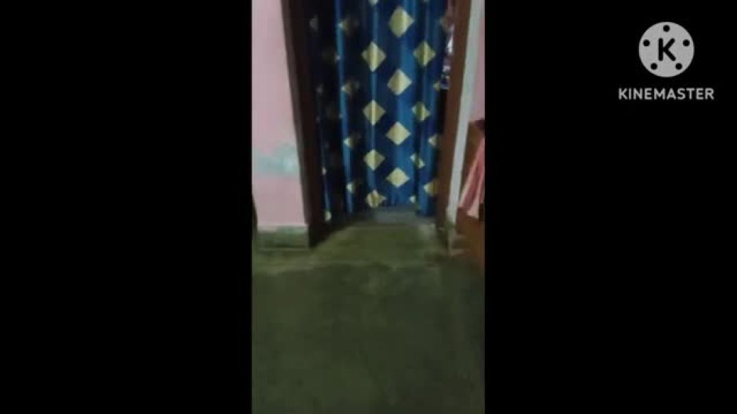 ⁣chucky doll dance in my house(360P)