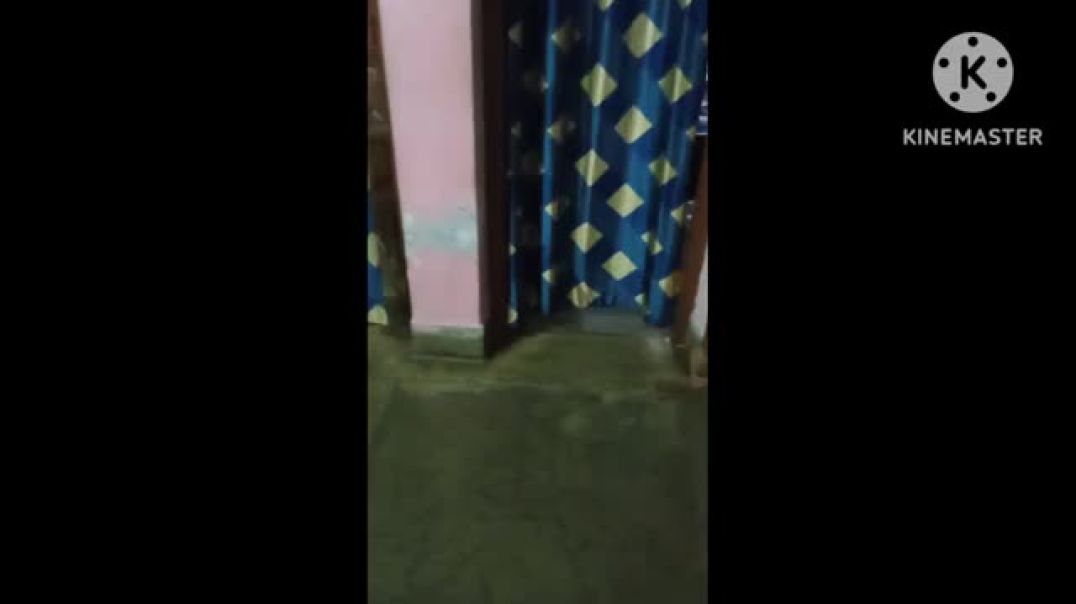 ⁣genie in my house(360P)