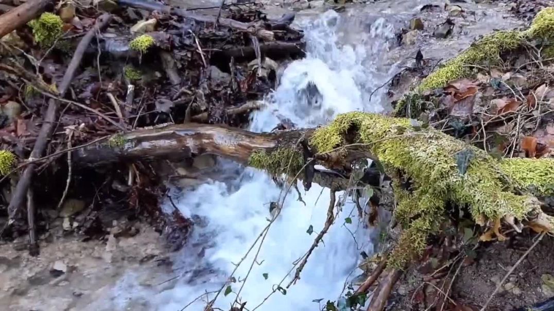 ⁣Relaxing Music For Stress Relief_ Anxiety and Depressive States _ Body and Soul_ JaiMala Music 2