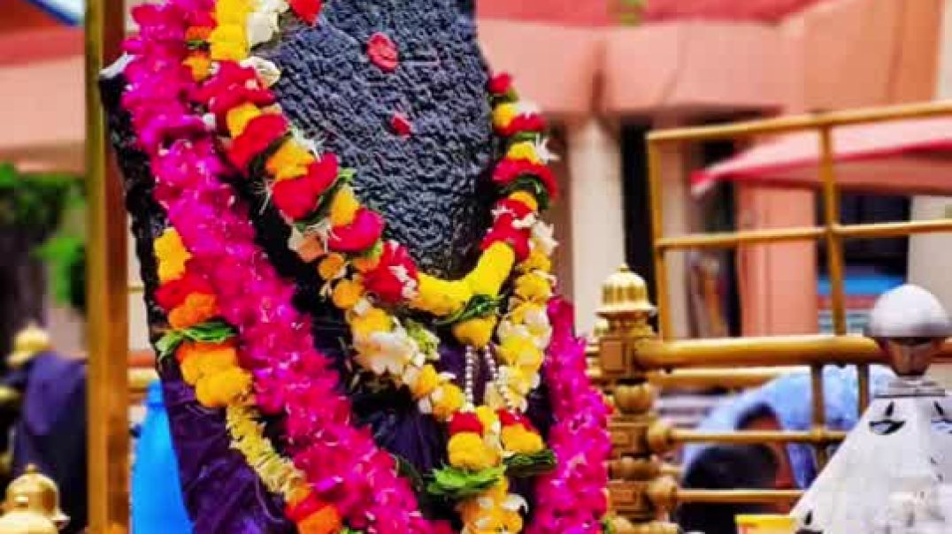 ⁣मराठी devdarhan marathi 💥💥🙏🙏👌💞💞💐🌺🏵️🏵️