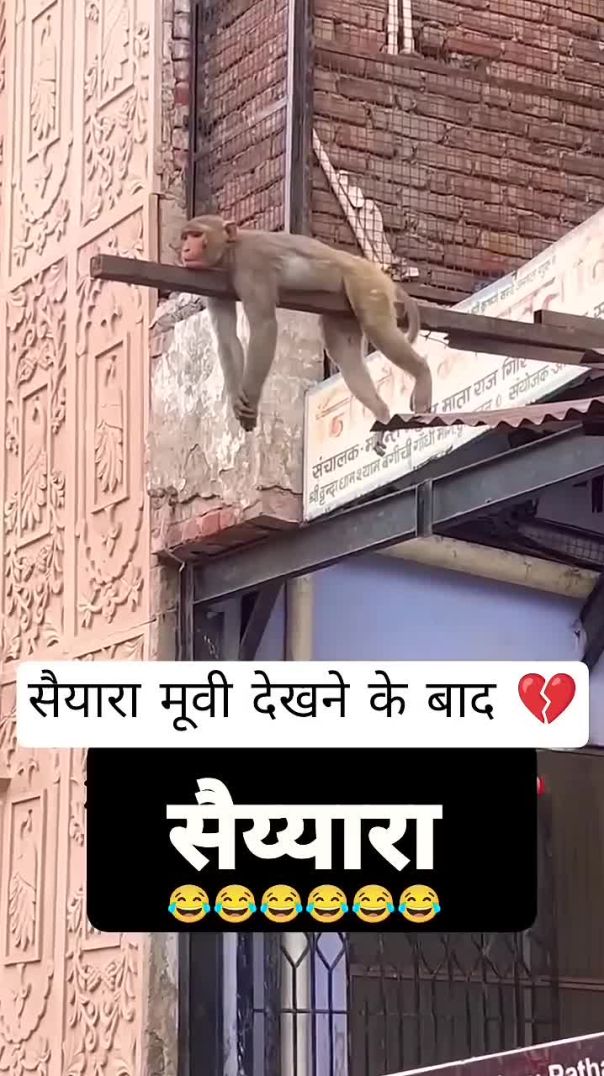 सैयारा मूवी देखने के बाद🤣 _funny _viral _shorts _viralvideo(720P_HD)