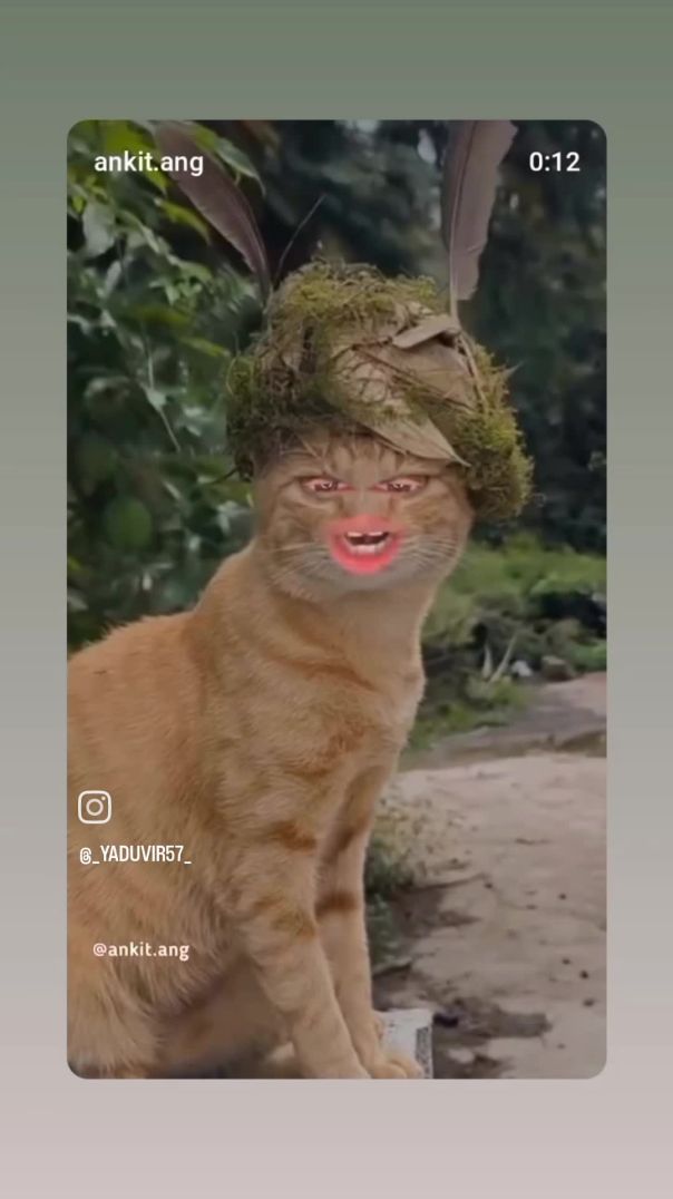 Plz like share and subscribe gyes 🥹🥹