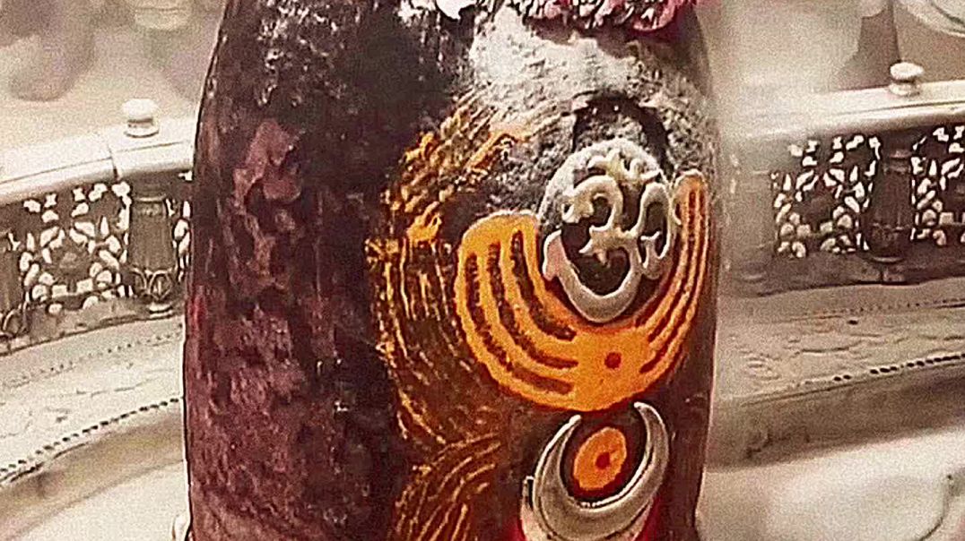 ⁣Nitya Mahakal Bhasma Aarti Darshan 29.11.2025 🙏🏻🧘🏻 #mahakaleshwar #mahakaldarshan