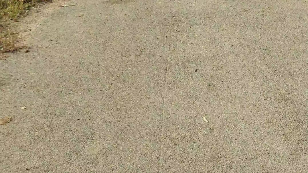 ⁣Aaj dukan ja raha