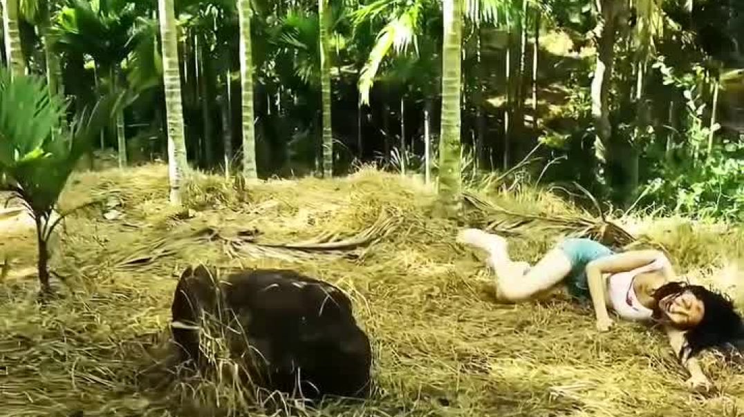 ⁣Sagi bahan Nahin sagi bahan Nahin use Naag Chhod gai Kumar Dev studio