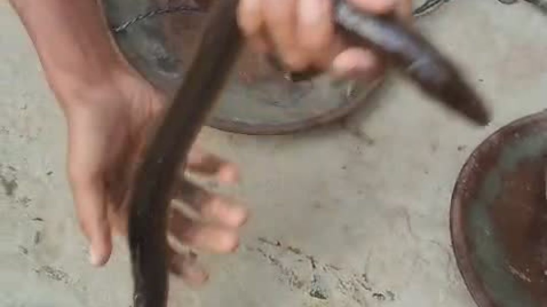 ⁣VID-20251121-WA0002