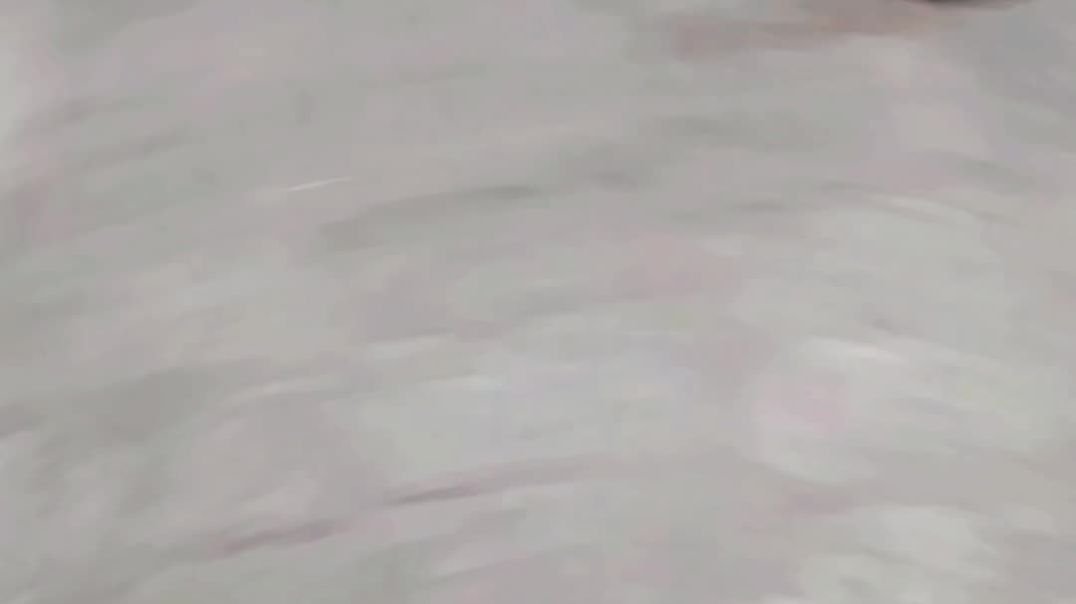 System...⚠️🦅🦁⚜️💪 #long awaited msg.wanted to thank you from bottom of my heart for my wonderful ma