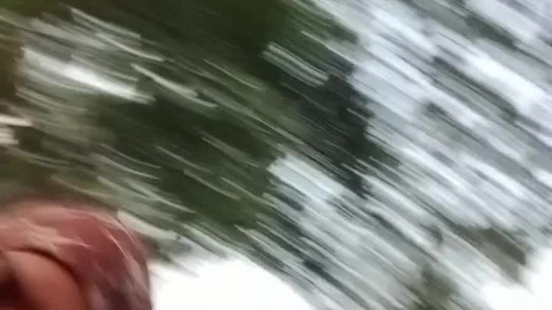 video_20251122_062405