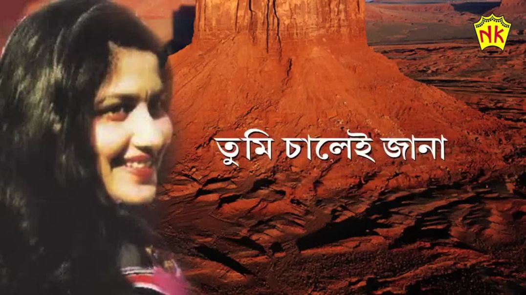 ⁣TUMI SAALEI JANA _ ASSAMESE LYRICAL VIDEO SONG _ JONKEY BORTHAKUR _ SISHU Zubeen Garg (720P_HD)