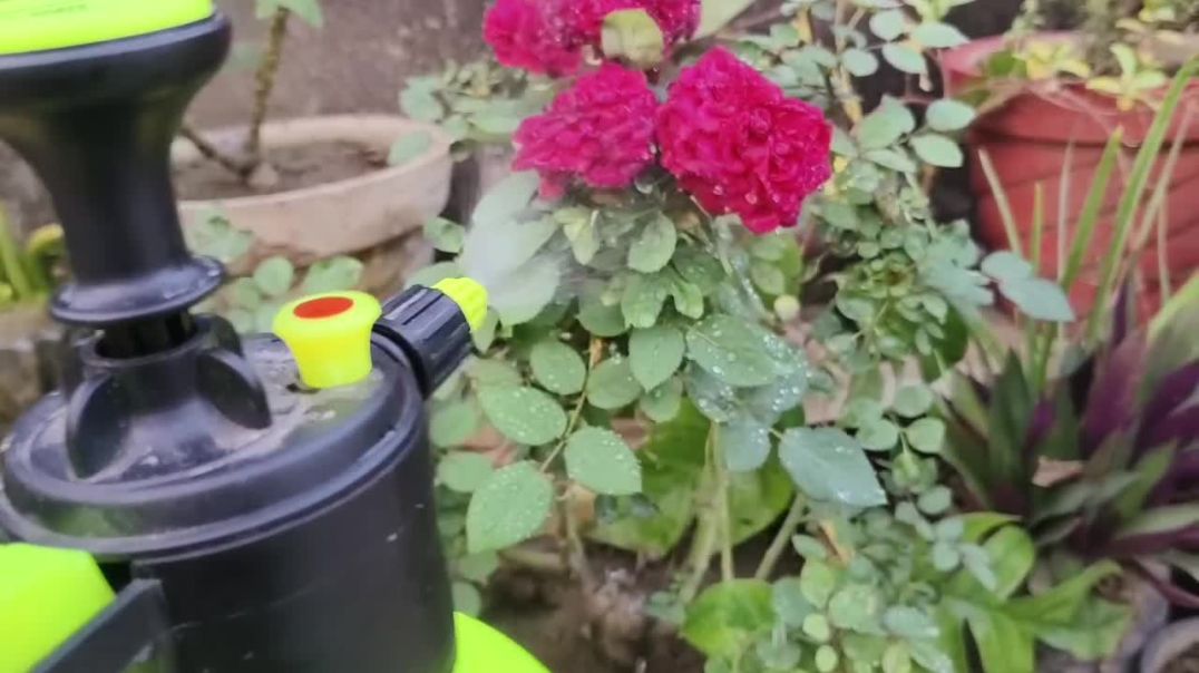 ⁣Gardening best equipment Pressure sprayer pump,गार्डनिंग में पौधों को पानी देने के लिए वेस्ट स्प्रे