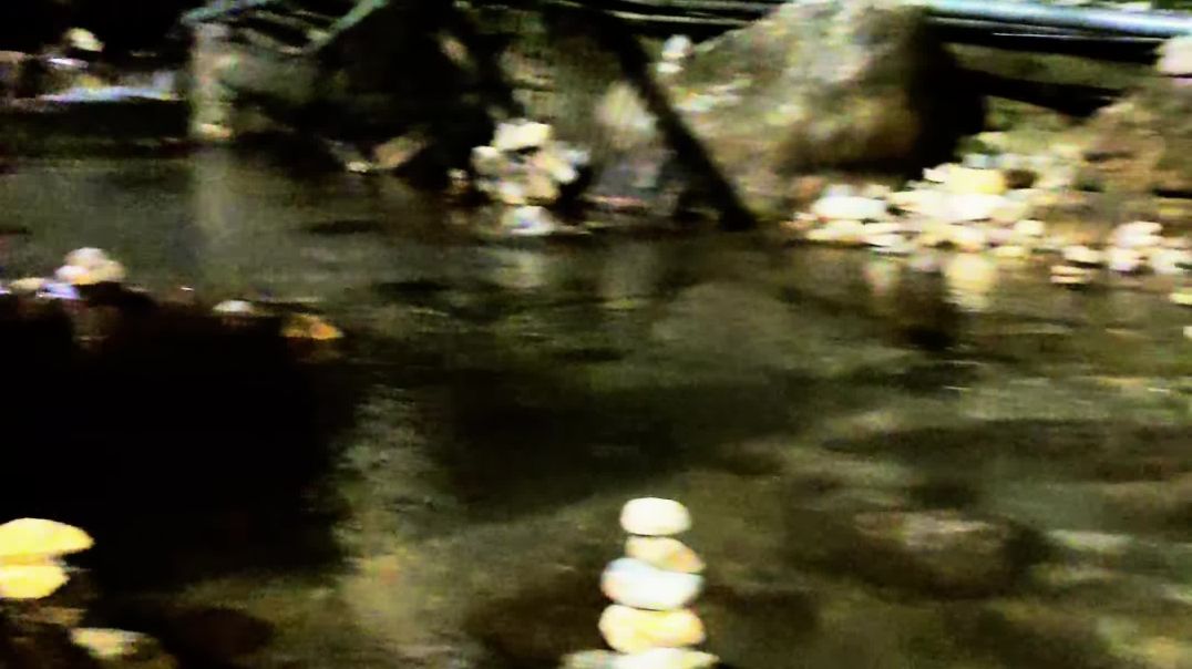 Baan_Ganga_Vaishno_Devi___Divine_Journey_Begins___Vaishno_Devi_Yatra_Short_#vanganga_#vaishnodevi(2160p)