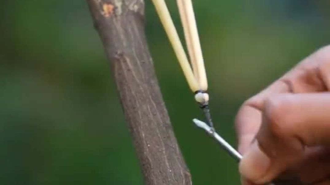 ⁣mraaryan_01-20251106-0001