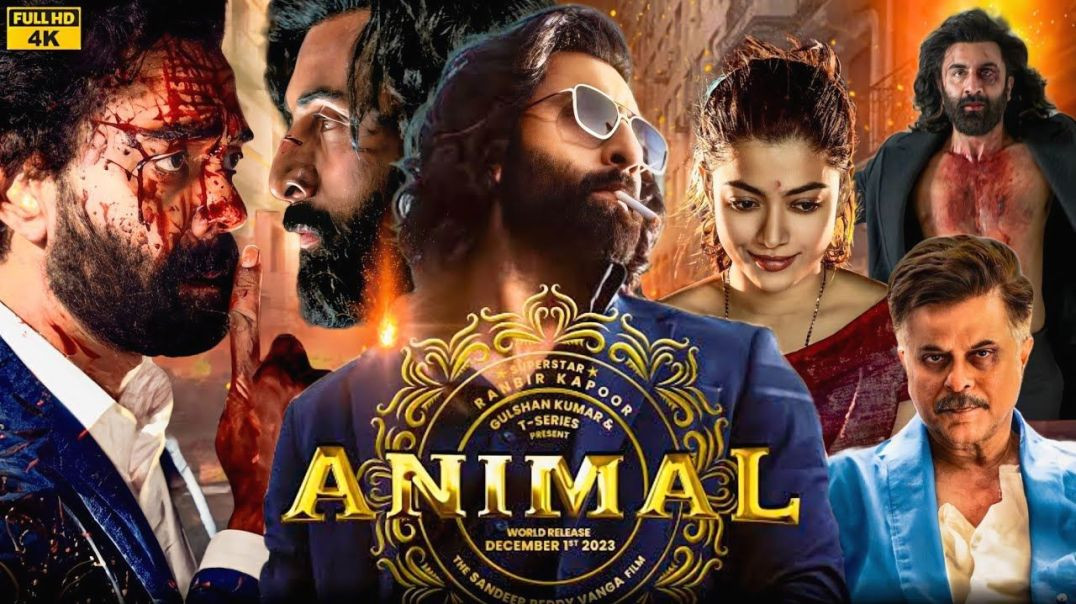 Animal Blockbuster Movie, Superstar Ranveer K, Anil K, Bobby D, Rashmika M
