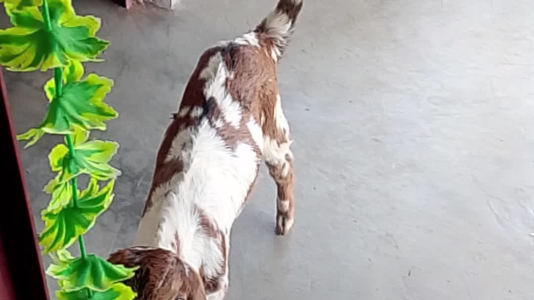 YouCut_20251121_100300952