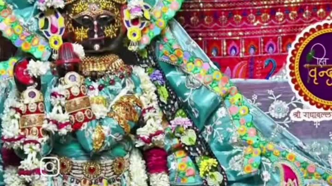 VID_20251103_054812_377