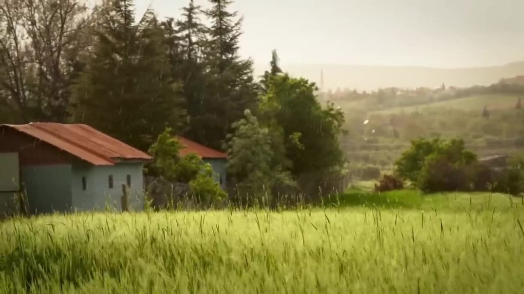 ⁣Horror stories 16 SHIMLA- they Wanted to Avoid the Crowd &amp;amp; Took a WRONG TURN ❌_HD