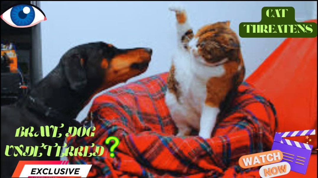 ⁣🤣 Funniest Animal Domination on Apna Tube 😂