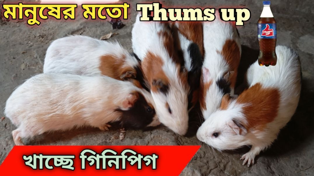 InShot_20251118_202301634