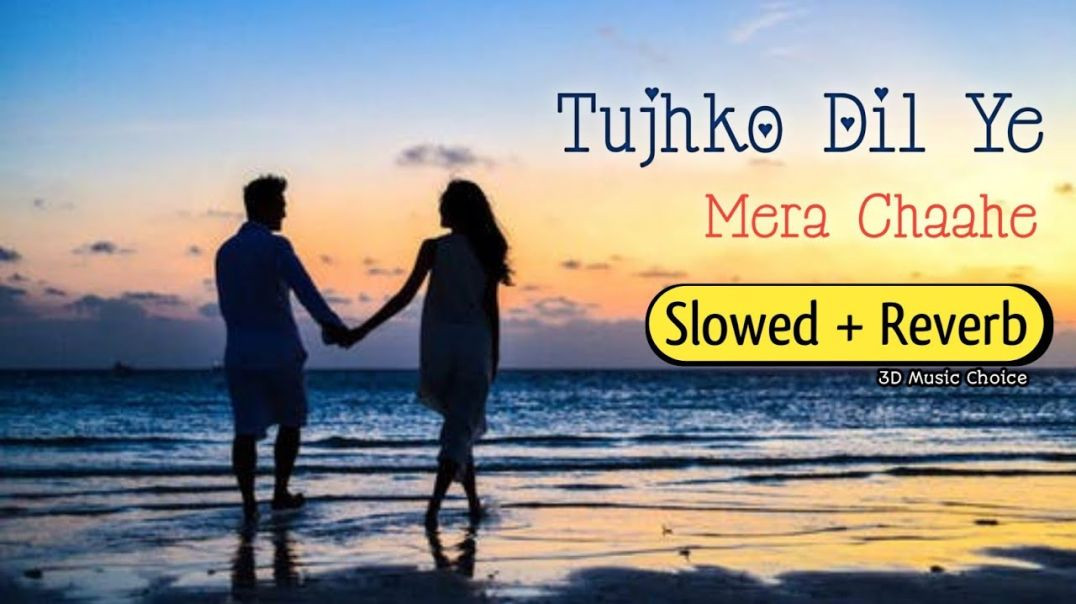 ⁣Tujhko Dil Ye Mera Chaahe [Slowed  Reverb] Romantic Track _ Songs Basket _ Altaaf Sayyed _ Anand