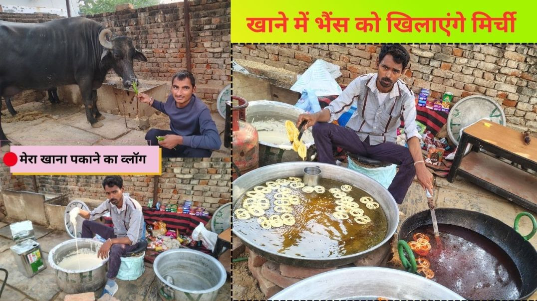 ⁣my cooking vlog | खाने में भैंस को खिलाएंगे मिर्ची