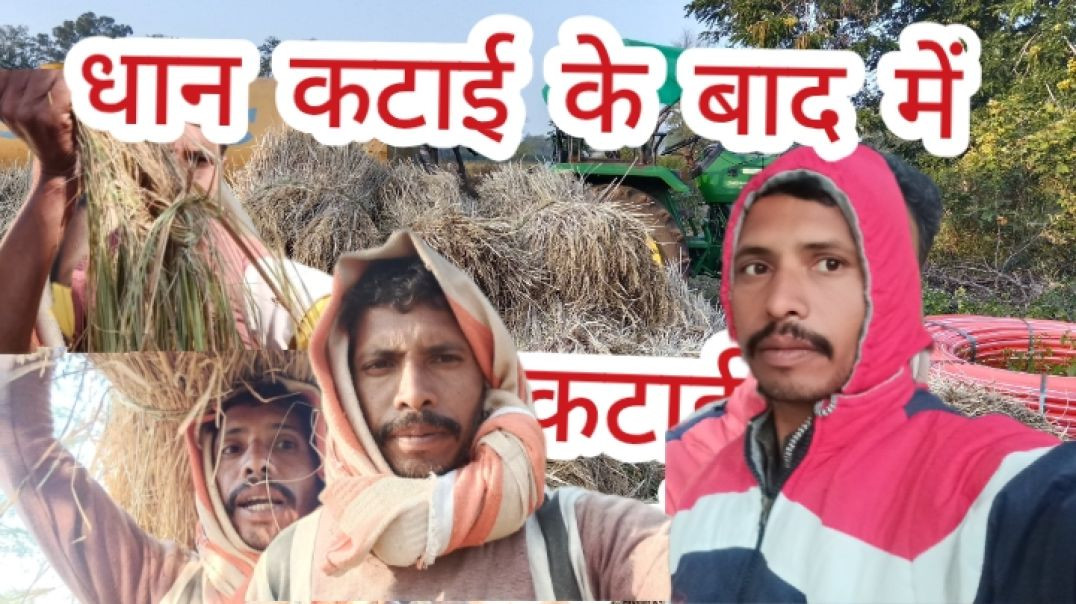 ⁣Video || धान कटाई के बाद में|| Kundan|| Vlogs|| Cg Vlogs|| pm Vlogs|| Kundan Cg Vlogs