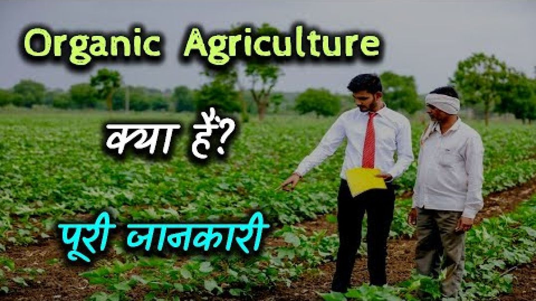 What is Organic Agriculture with Full Information？|Shesh Agro Tech – [Hindi] – Quick Support