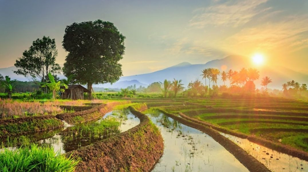 ⁣villager present morning status  <br>#shorts #short #status <br>#morning #morningstatus <br>#sunrise